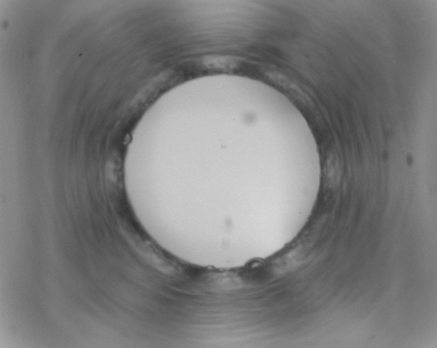 X0000077400424200611172109