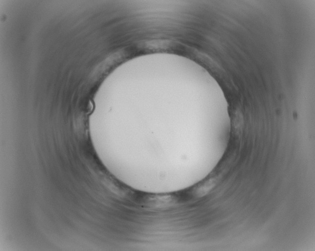 X0000077400428200611172109