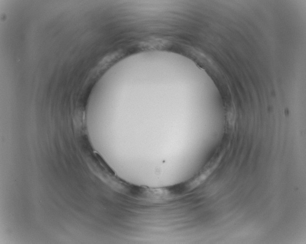 X0000077400429200611172109