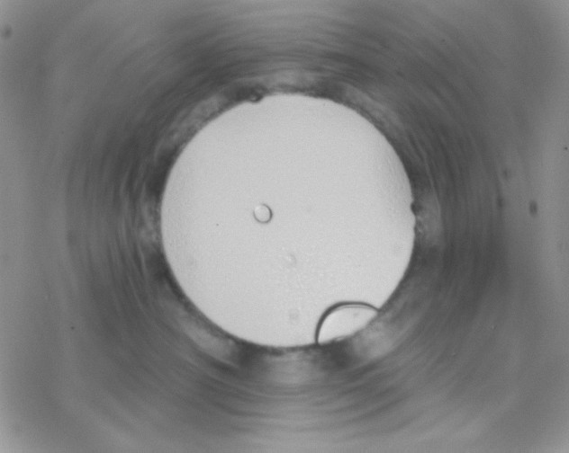 X0000077400430200611172109