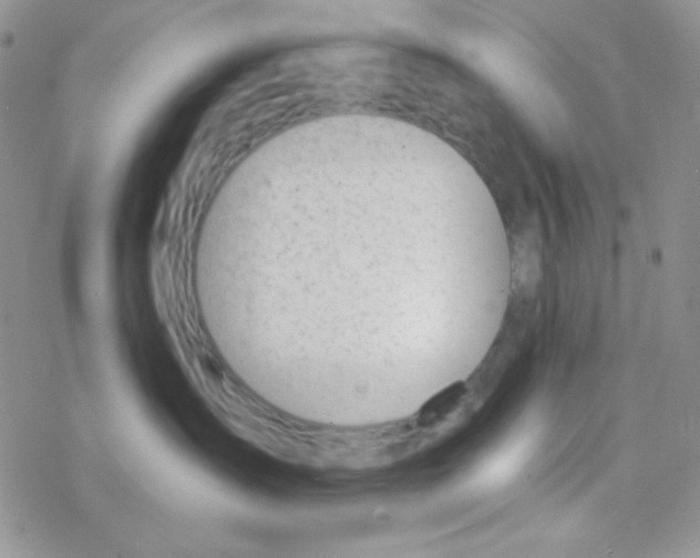 X0000077400431200611172109