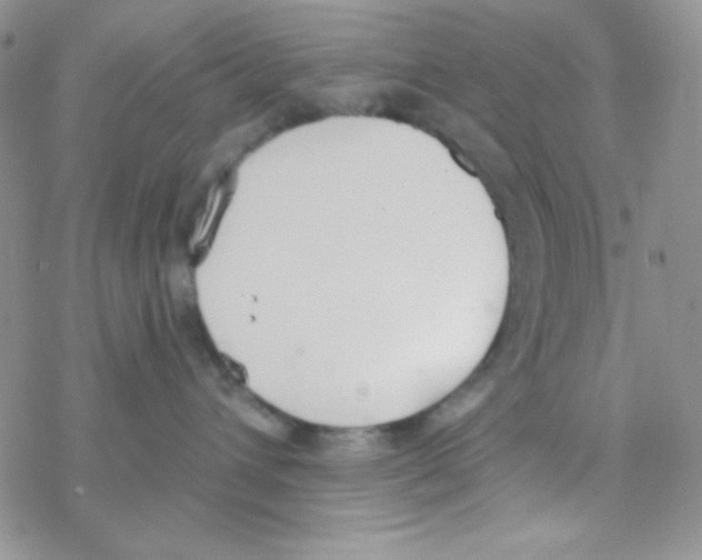 X0000077400432200611172109