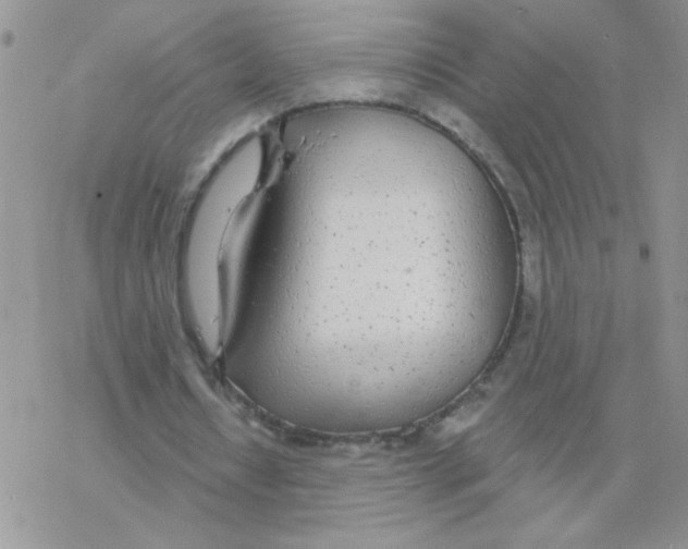 X0000077400434200611172108