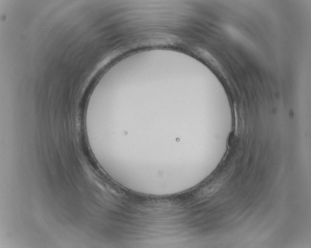 X0000077400435200611172108