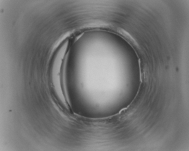 X0000077400436200611172108