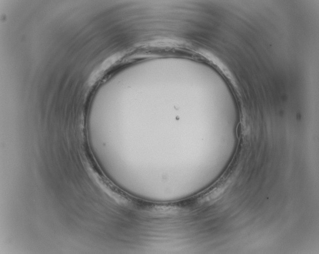 X0000077400437200611172108