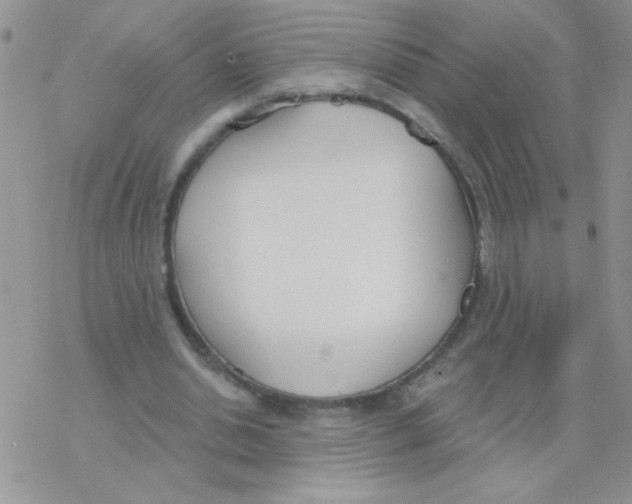 X0000077400438200611172108