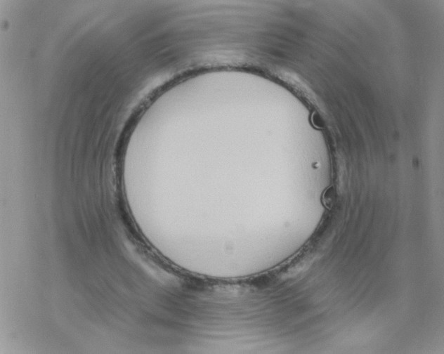 X0000077400439200611172108