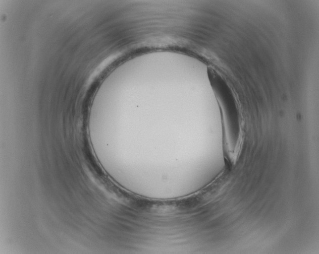 X0000077400440200611172108