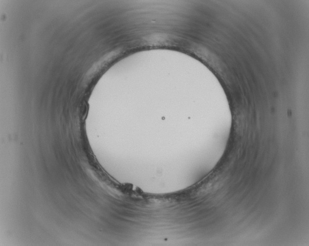 X0000077400442200611172108