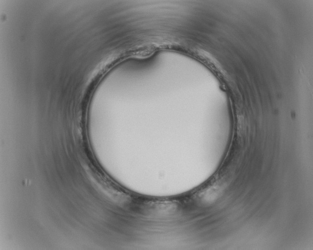 X0000077400443200611172108