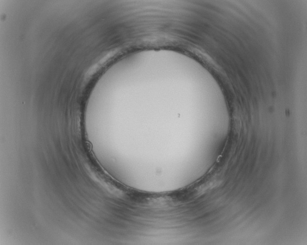 X0000077400446200611172108