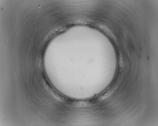 X0000077400449200611172108