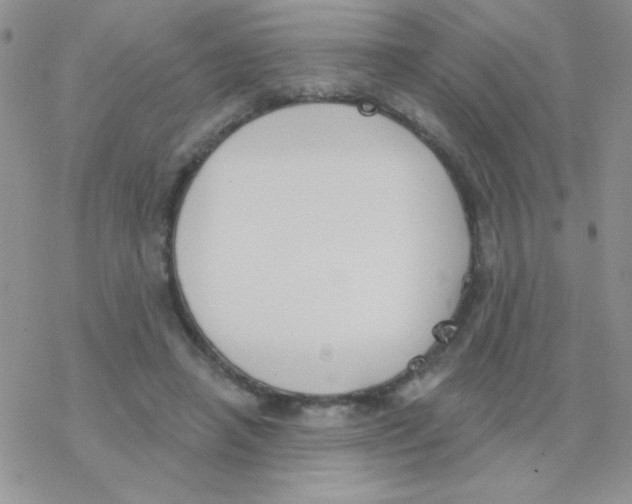 X0000077400450200611172108