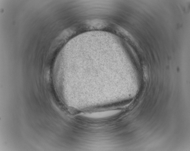 X0000077400451200611172108