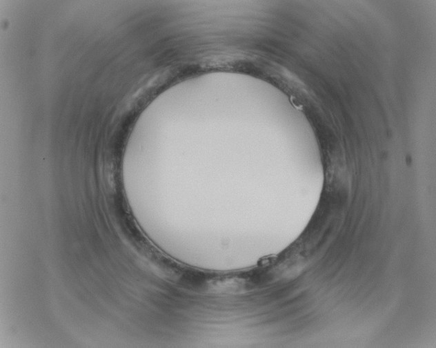 X0000077400452200611172108