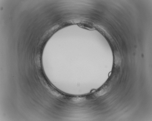 X0000077400453200611172108