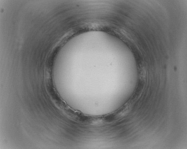 X0000077400456200611172108