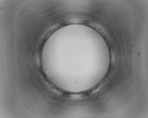 X0000077400457200611172108