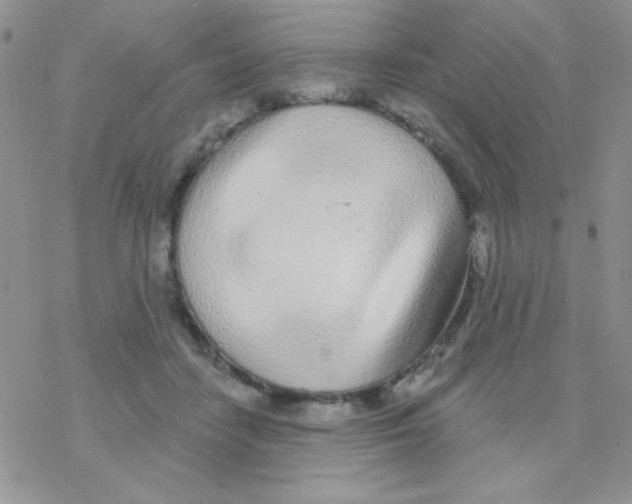 X0000077400458200611172108