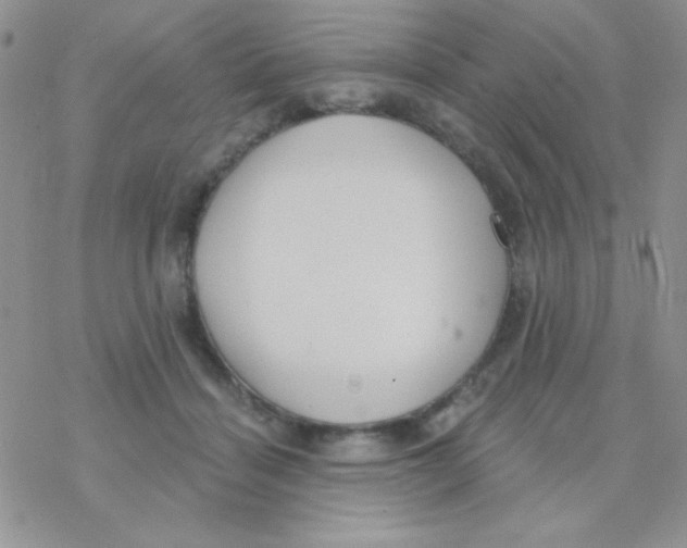 X0000077400460200611172108