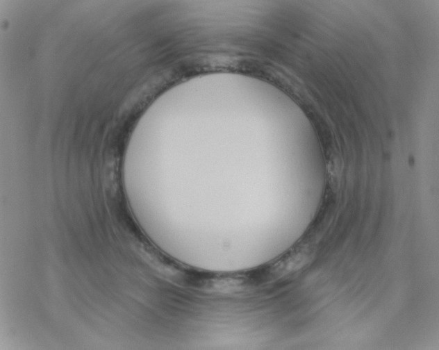 X0000077400462200611172108