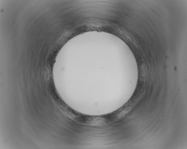 X0000077400463200611172108