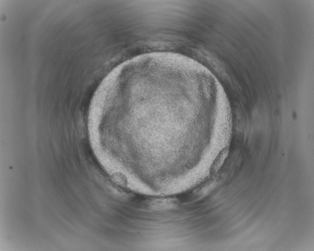 X0000077400465200611172108