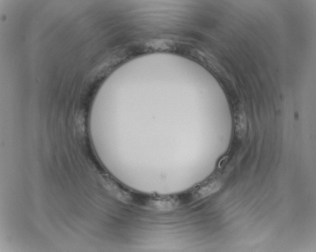 X0000077400466200611172108