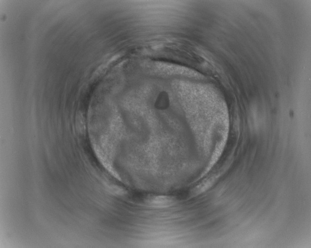 X0000077400467200611172108