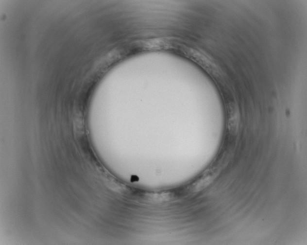 X0000077400469200611172108