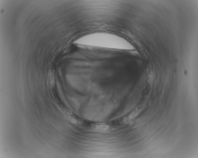 X0000077400471200611172108