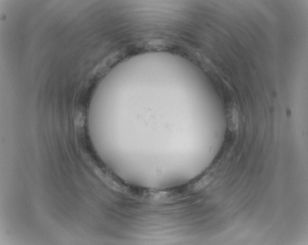 X0000077400472200611172108