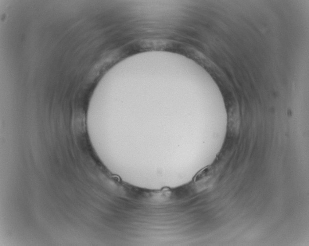 X0000077400474200611172108