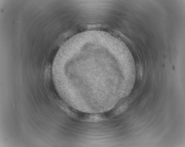 X0000077400475200611172108