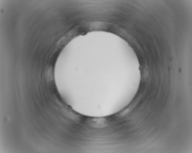 X0000077400478200611172108