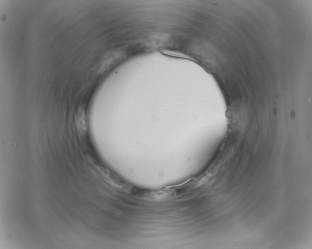 X0000077400479200611172108