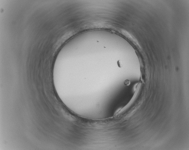 X0000077400481200611172108