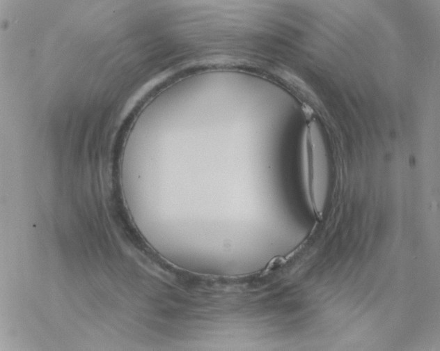 X0000077400484200611172108