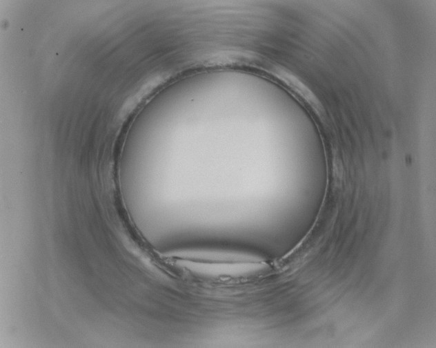 X0000077400485200611172108