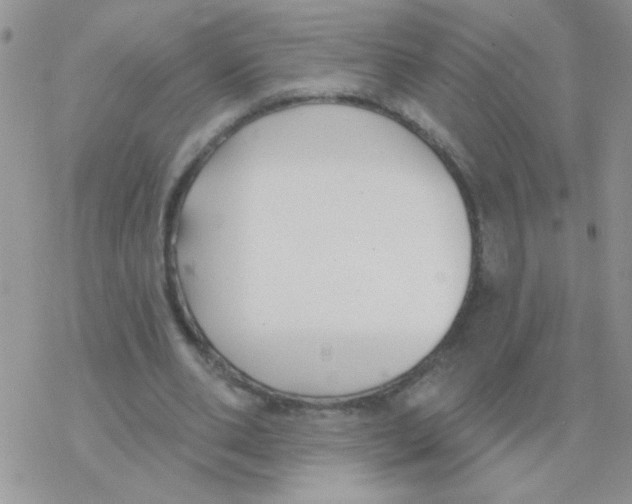 X0000077400486200611172108