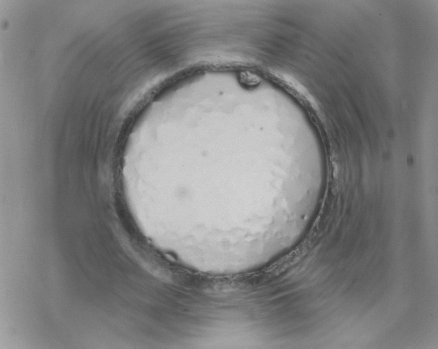 X0000077400487200611172108