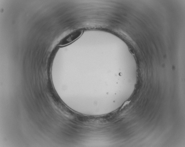 X0000077400488200611172108