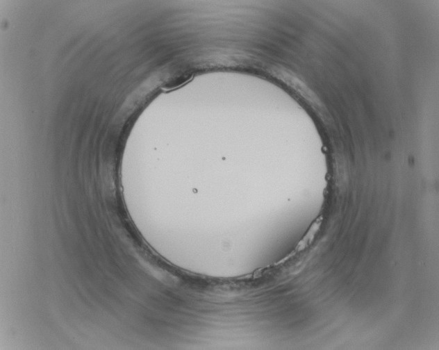 X0000077400489200611172108