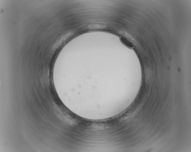 X0000077400490200611172108