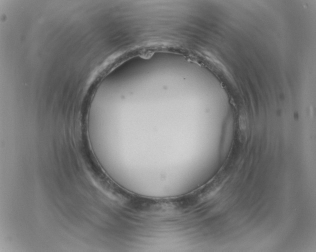 X0000077400492200611172108