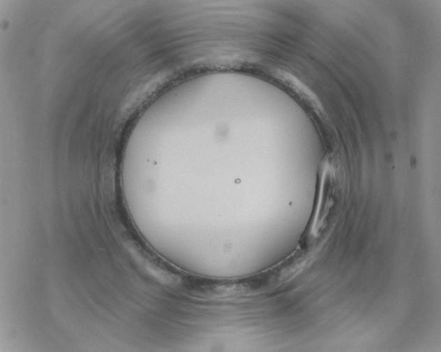 X0000077400493200611172108