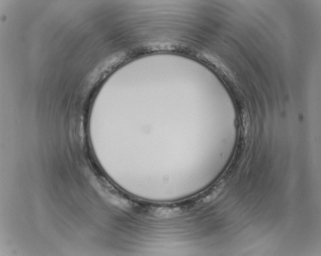 X0000077400494200611172107