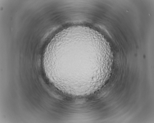 X0000077400495200611172107