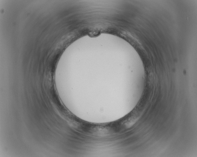 X0000077400498200611172107